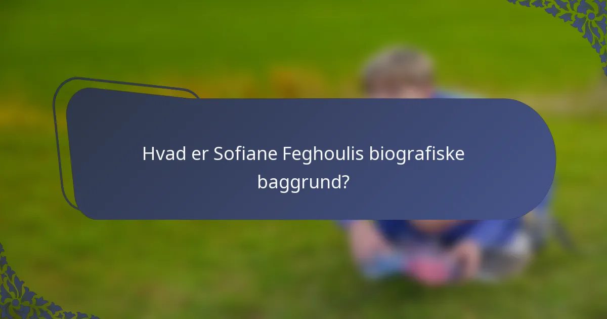 Hvad er Sofiane Feghoulis biografiske baggrund?