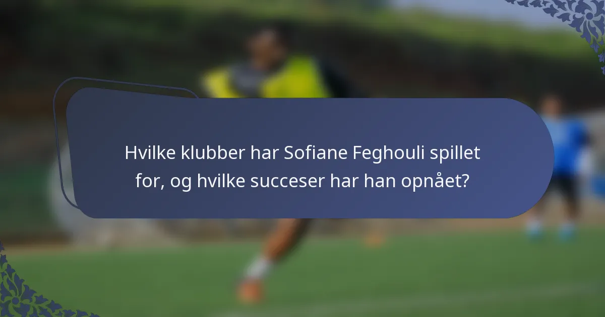 Hvilke klubber har Sofiane Feghouli spillet for, og hvilke succeser har han opnået?