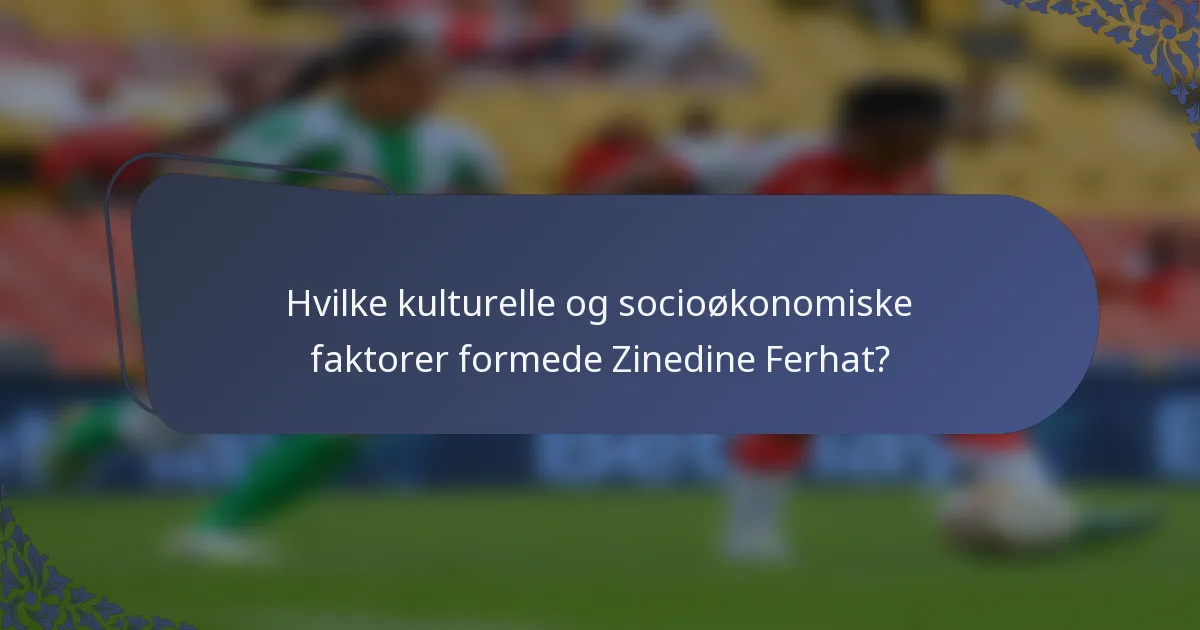 Hvilke kulturelle og socioøkonomiske faktorer formede Zinedine Ferhat?