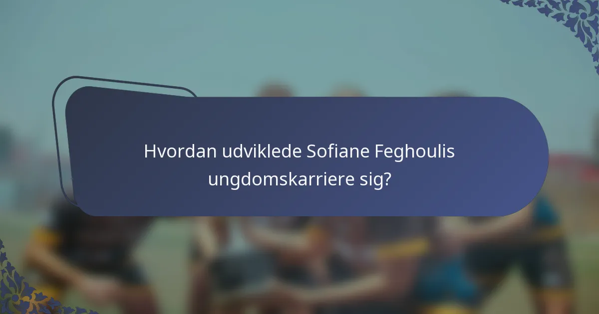 Hvordan udviklede Sofiane Feghoulis ungdomskarriere sig?